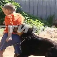 Проблемы с соседями