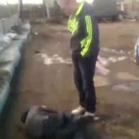 подростковое насилие и школьная травля