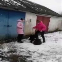 подростковое насилие и школьная травля