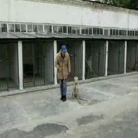 Проблемы со зрением и слухом