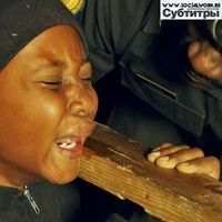 семейное устройство и патронаж